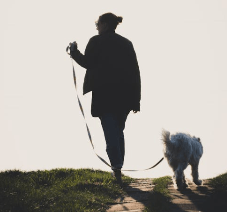 tutora paseando perro