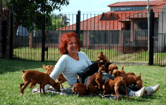 tutora con cachorros