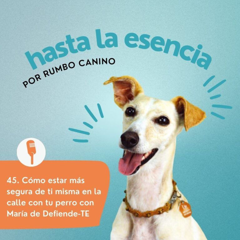 Episodio 45 hasta la esencia - Podcast